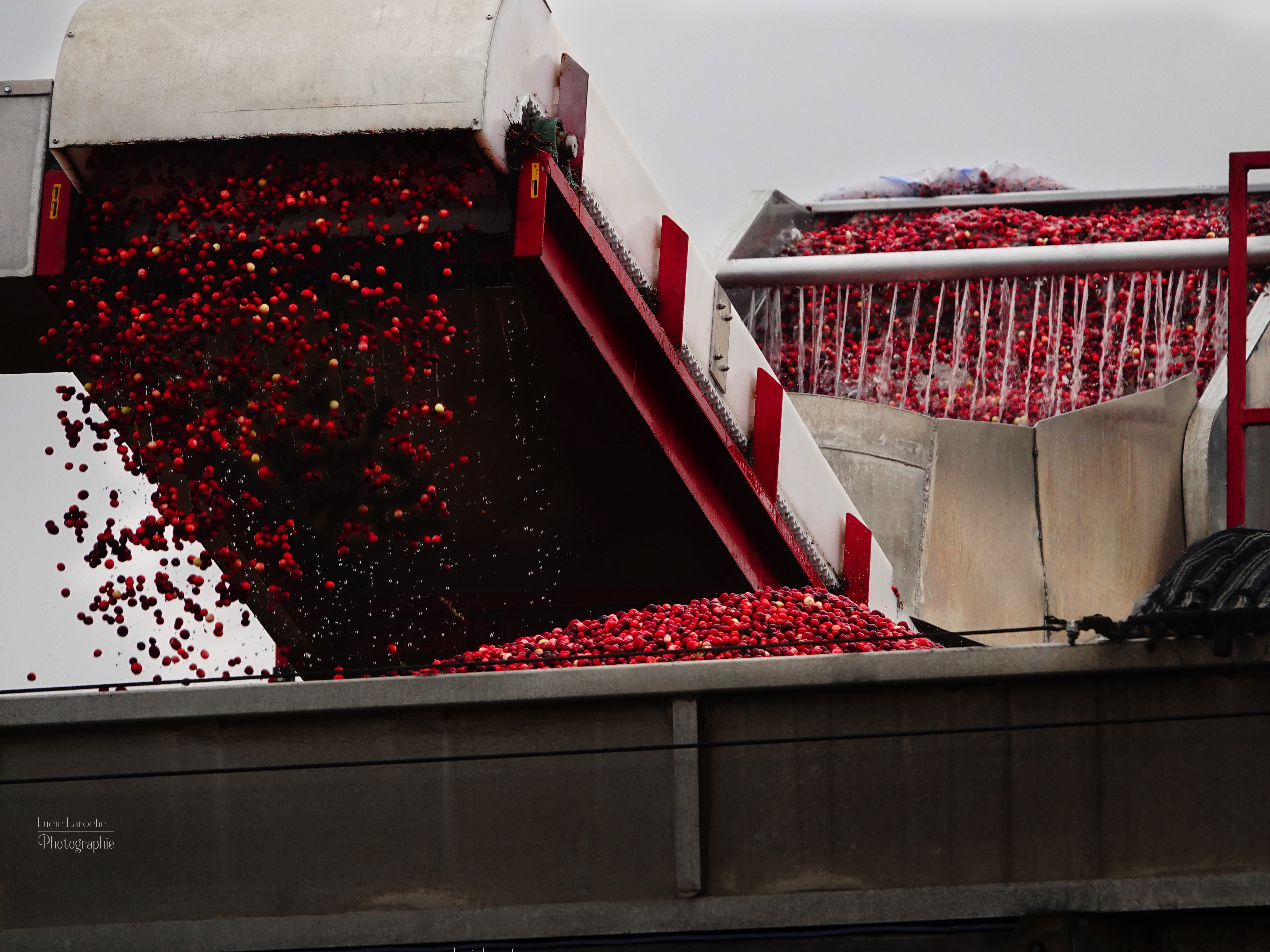 Photo_etude_impact_economique_2025